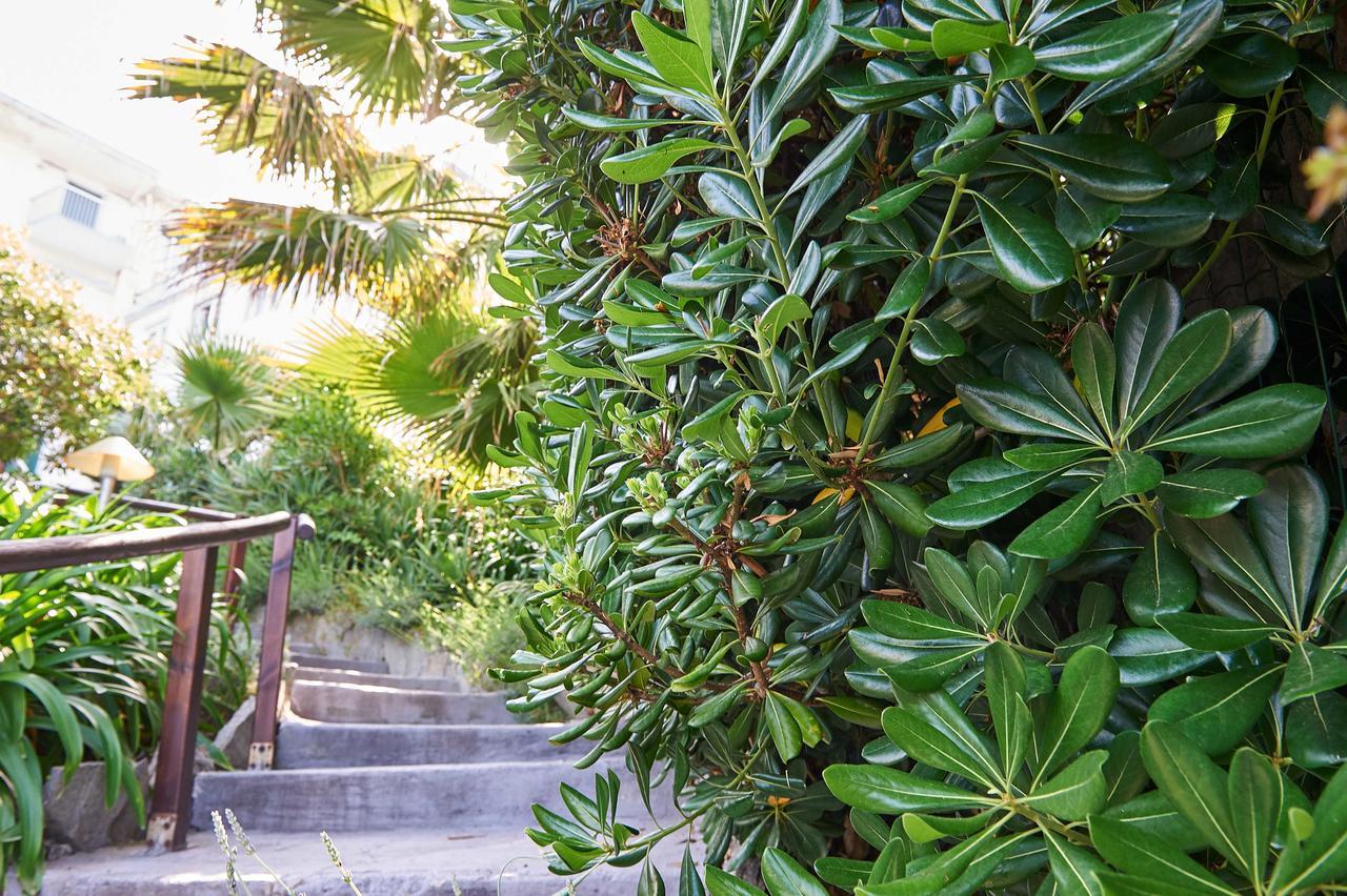 Hotel Corallo Imperia Dış mekan fotoğraf